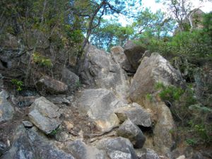 �V�F�[����