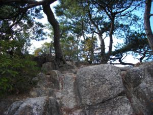 �V�F�[����