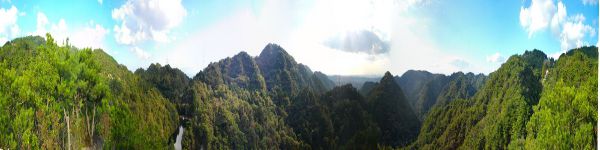 �V�F�[��������p�m���}