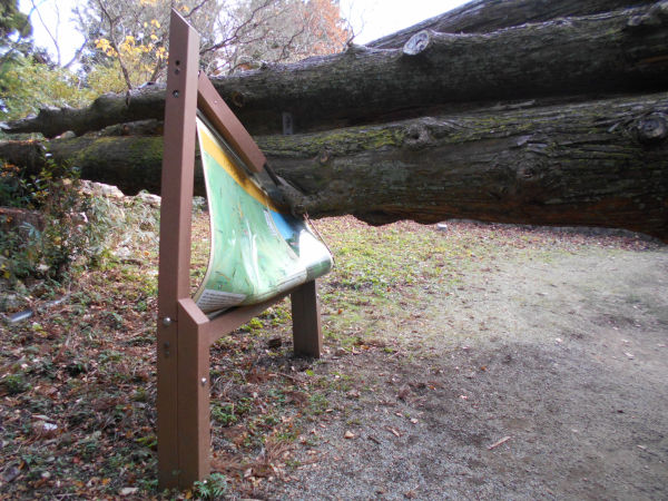 ���V�㎛�̐e�q��