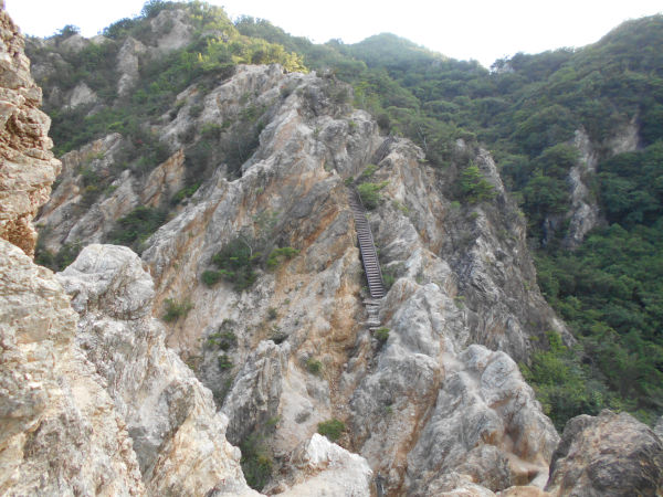 �{���A���v�X�E�n�̔w