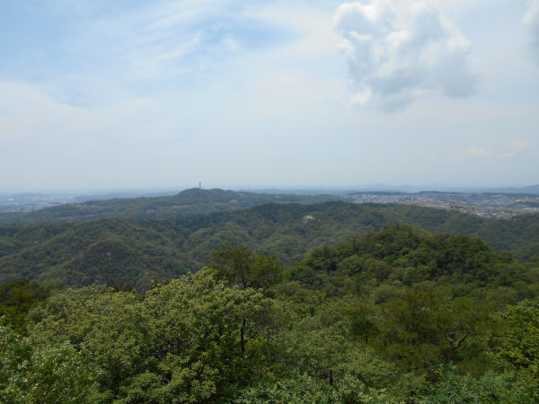 �e���R�R������̗闖��