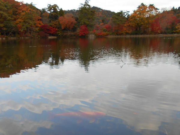 �C�@�����̌�