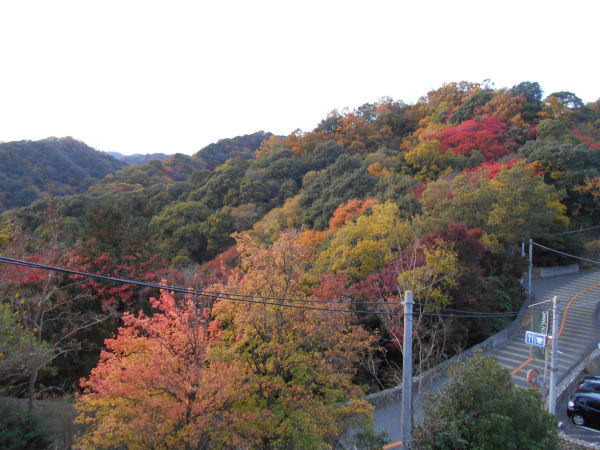 �r�[�i�X�u���b�W