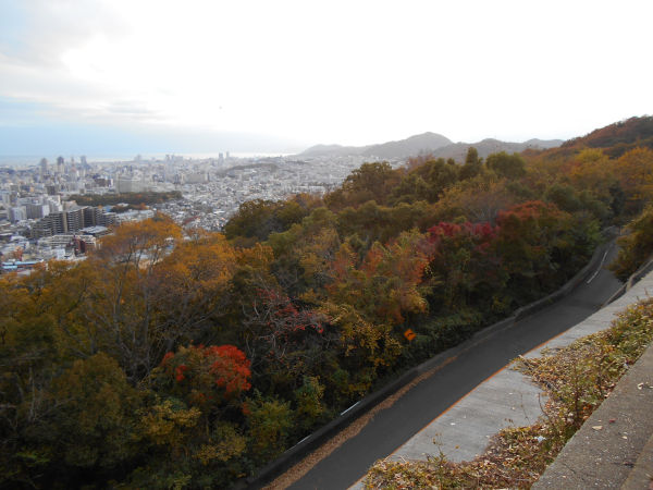 �r�[�i�X�u���b�W