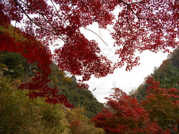 �z�������r