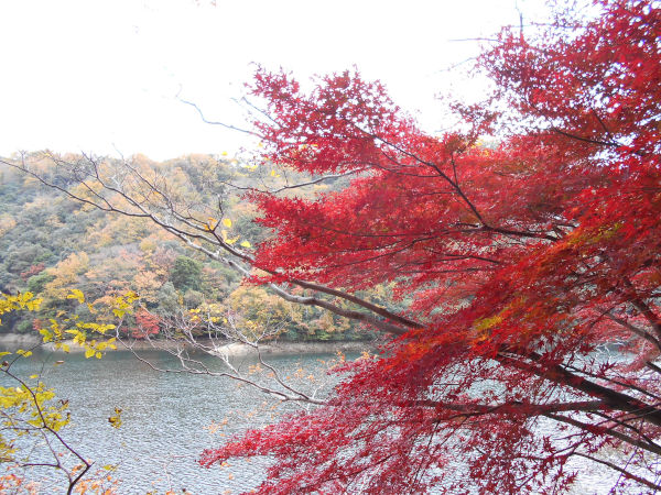 �z�������r