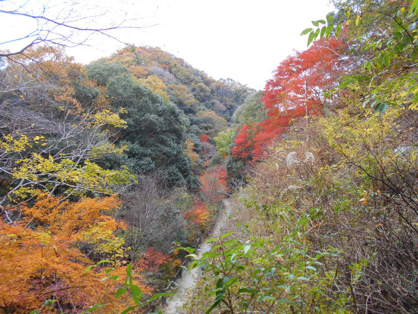 �g�t����