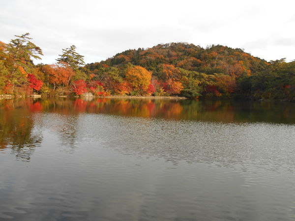 �C�@����