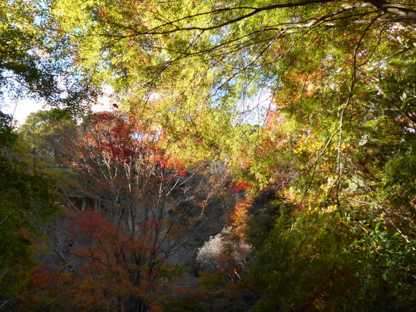 �嗴�����̍g�t