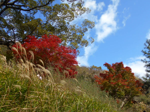 �z�������r