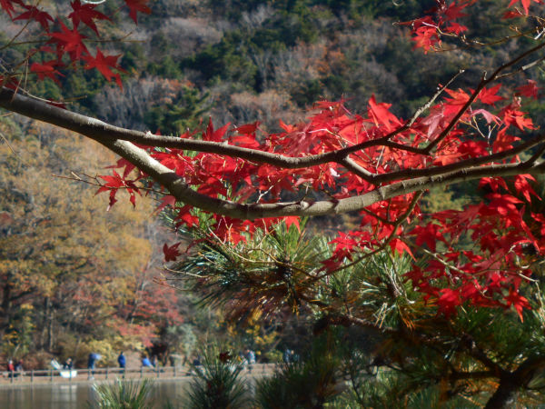 �C�@����