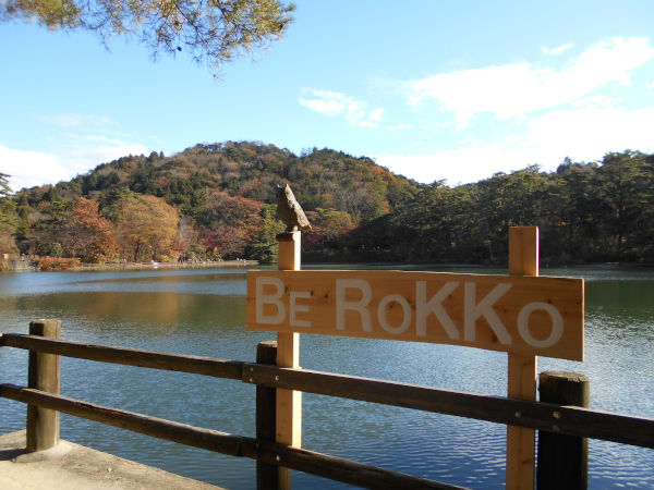 �C�@����