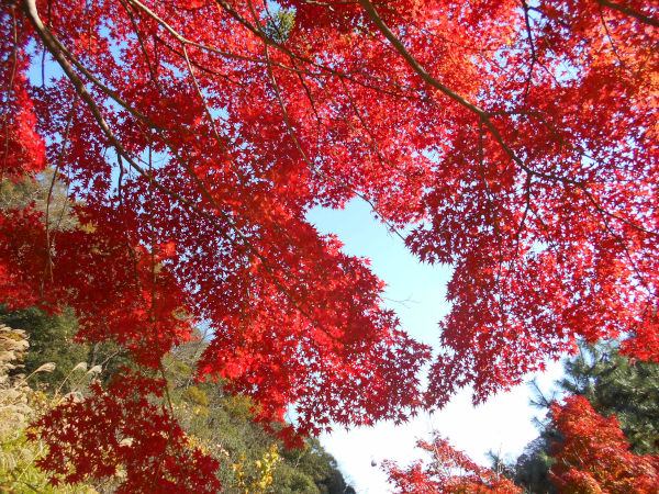 �z�������r