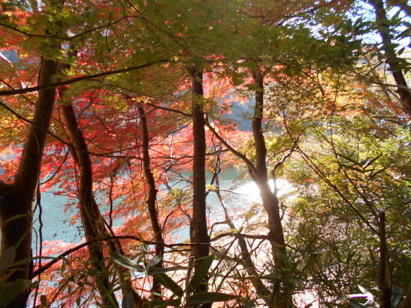 �z�������r