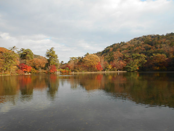 �C�@����