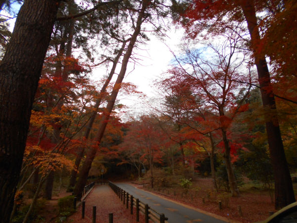 �C�@����