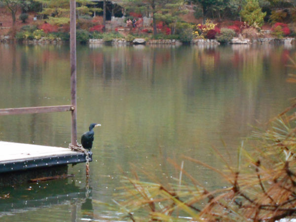 �C�@����