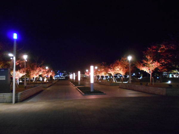 �����P���p�[�N