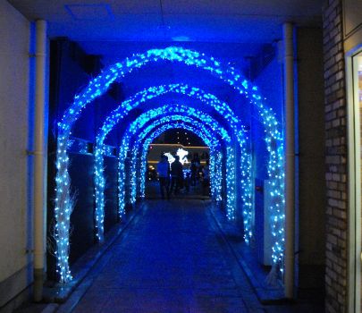 �C�̍L��ւ̒ʘH