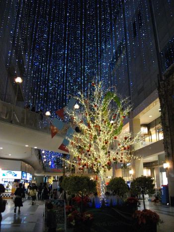 �L���i���K�[�f��