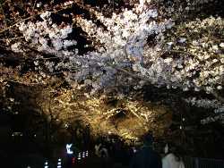 ���q������