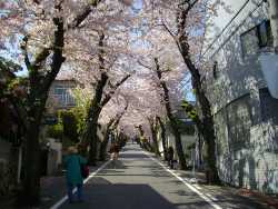 ���̃g���l��