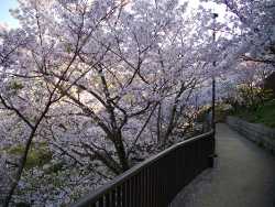 �V�_�ˉ�V�H