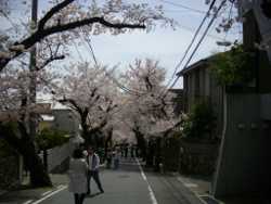 ���̃g���l��