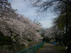 �J�����