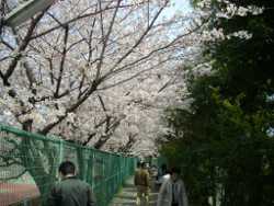 ���q�e�j�X�R�[�g