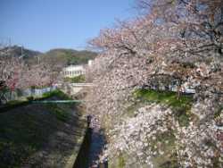 ��䏊������