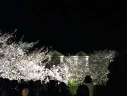 ���q�������n���^�[�@