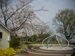 �z�K�R����