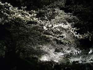 ���q������