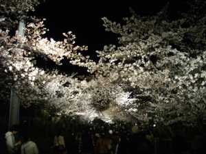 ���q������