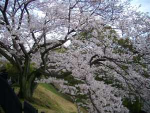 �Ȋw������