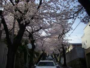 ���̃g���l��