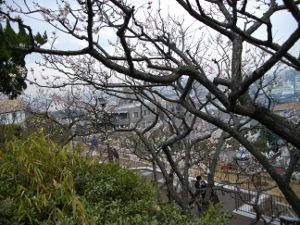 ���{�~�ь���