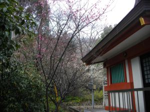 ���{�����_��