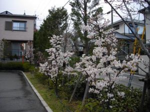 �����̏Z��X