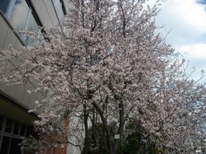 ��q�R����