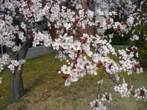 ��q�R����