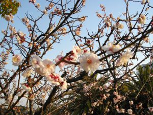 ��q�R����