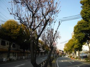 �����E�����Q�P����