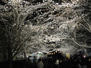 ���q������