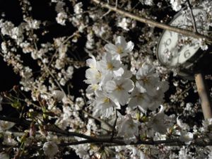 ���q������