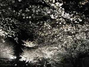 ���q������