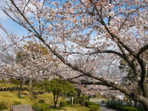 ��q�R����