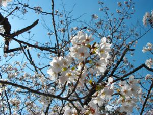 ��q�R����